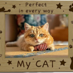 cat3